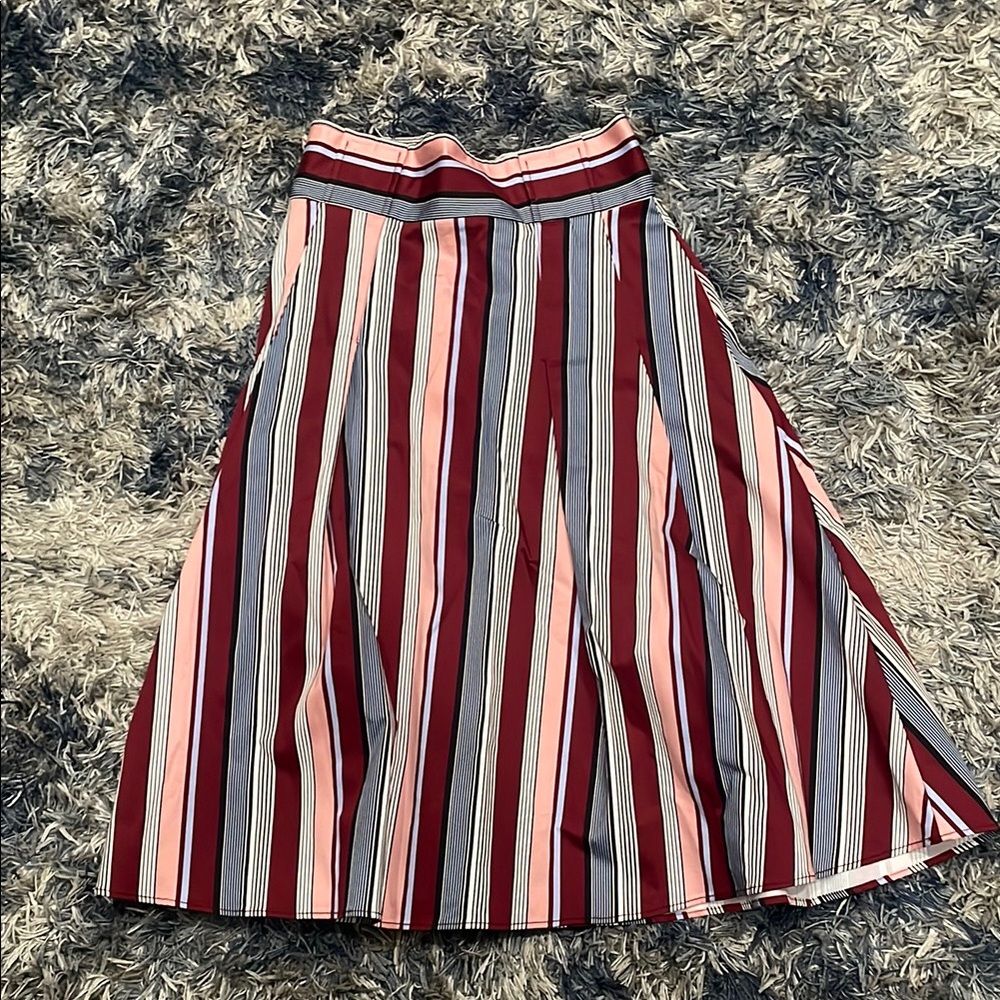 Striped Multicolor Women's Skirt